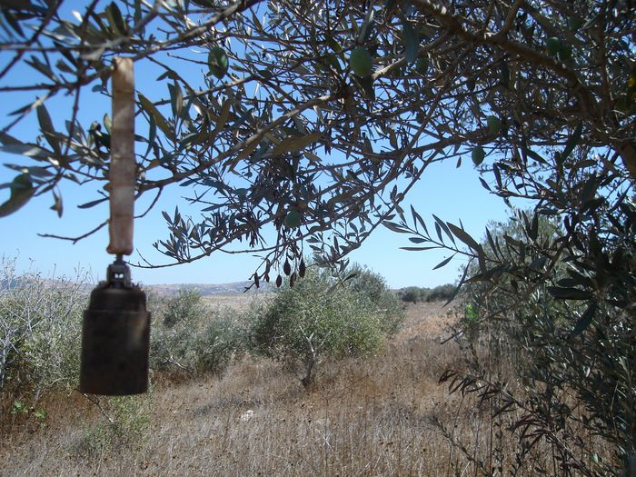 Bombes à sous-munitions