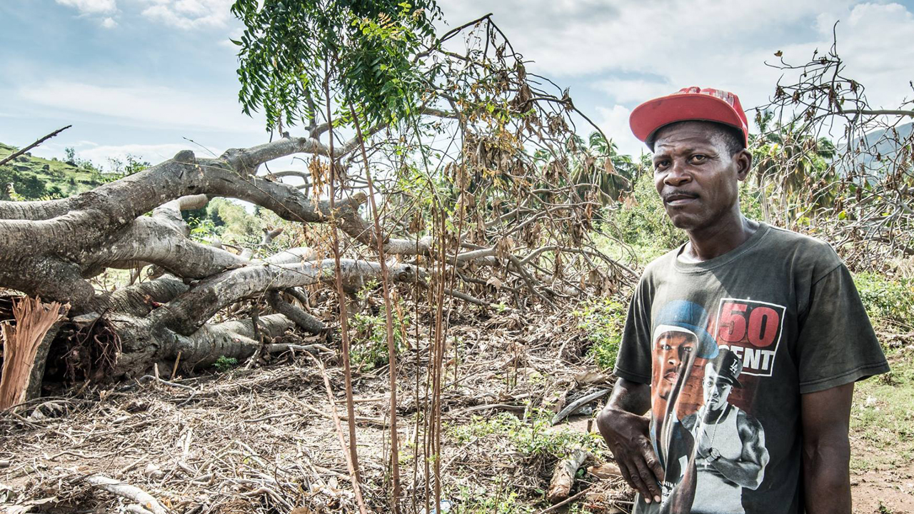 Les villages de Saint-Louis du sud et Cavaillon, près de Cayes (ville principale de la province sud), ont perdu leurs récoltes. Jean-Claude  a perdu tous ses cultures de manioc