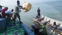 Les équipes de Handicap International transportent l'aide humanitaire depuis le port des Cayes (sud du pays) jusqu'à la commune de Tiburon, pour les populations affectées par l'ouragan Matthew