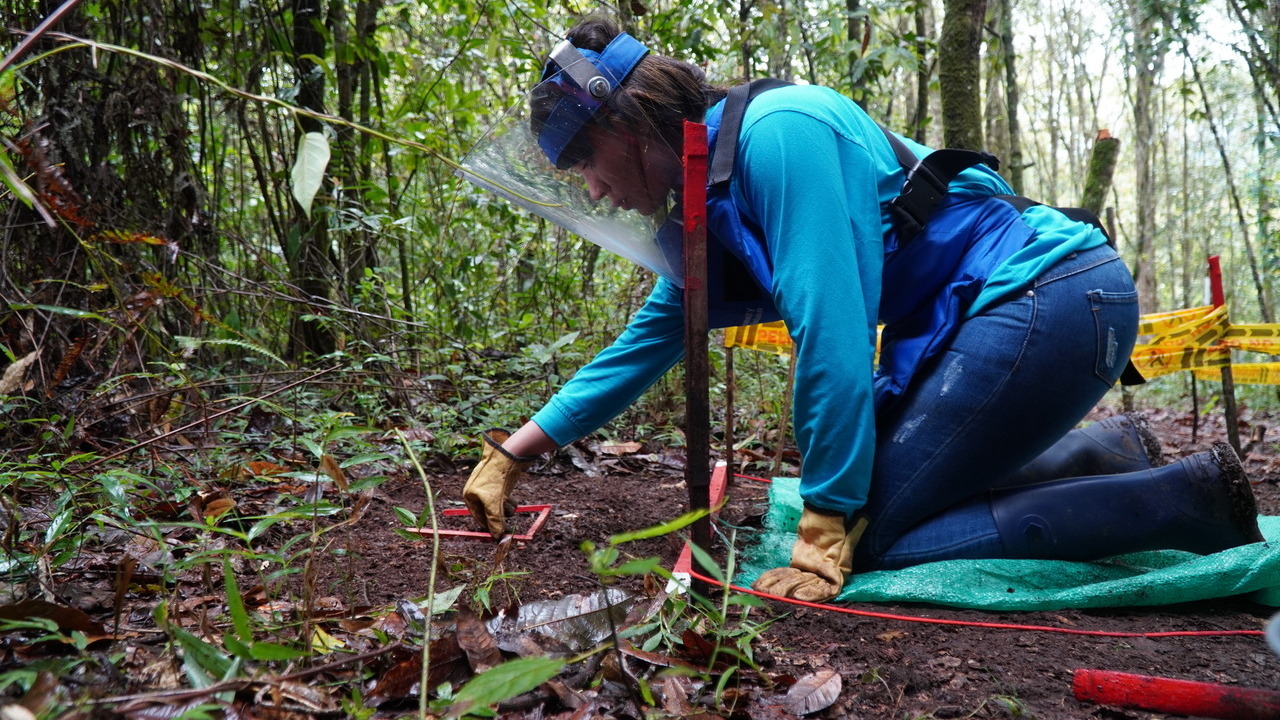 Dans la région humide des montagnes d'Inzá, une démineuse réalise des opérations de déminage dans une zone contaminée.