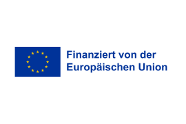 DG INTPA: Internationale Partnerschaften logo