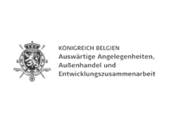 Ministry of Foreign Affairs of Belgium (MFAB) Logo