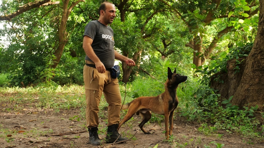 Senegal: Wie Hunde Kira, Storm, Fisti und Tini helfen, Minen aufzuspüren